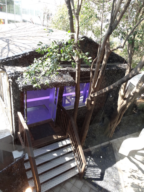 DSC00292.JPG