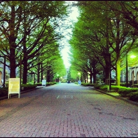 青学.JPG
