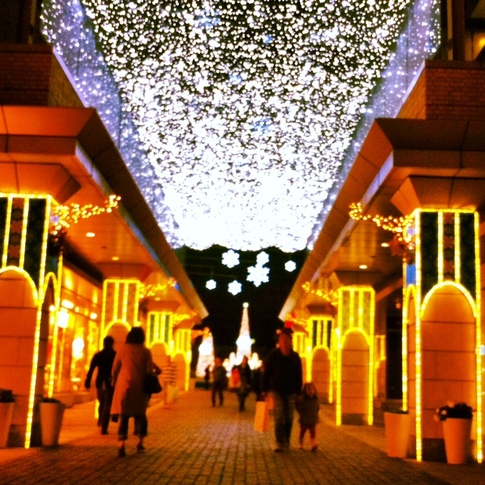 1201-2写真.JPG