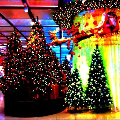20121227_122923.jpg