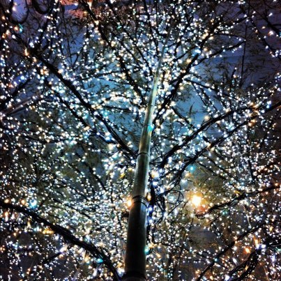 20121227_122956.jpg