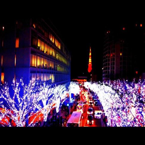 20121227_123027.jpg