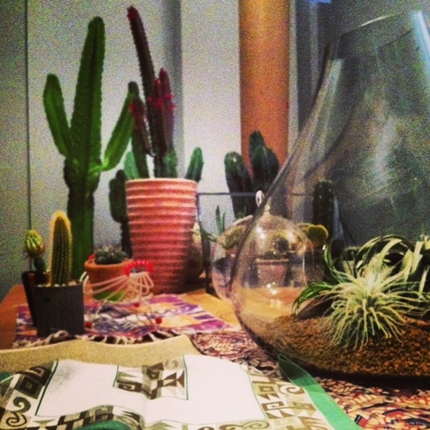 20130528_205747.JPG