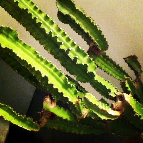 20130528_205821.JPG