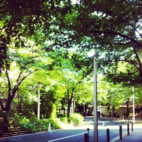20130603_111523.JPG