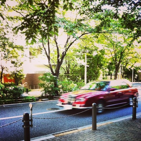 20130603_111549.JPG