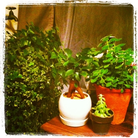 20130603_112629.JPG