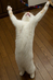 1107blog.jpg