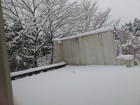 0120-A.jpg