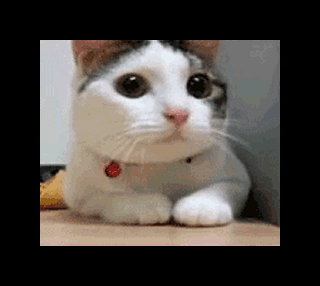 0308-x.gif