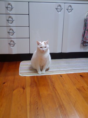 20110108162224.jpg