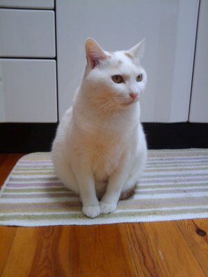 20110108162258.jpg