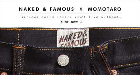 nakedfamousdenim01.jpg
