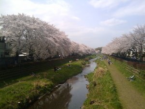 20110410130355.jpg