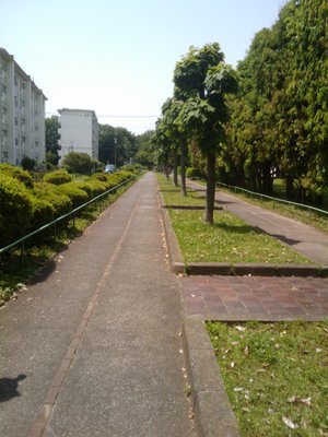 20110521124627.jpg