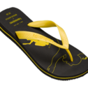 Havaianas