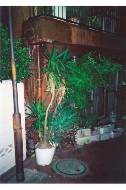ezaki06.jpg