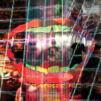 cf_animal_collective_credit.jpg