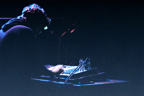 cf_animal_collective_sub04.jpg