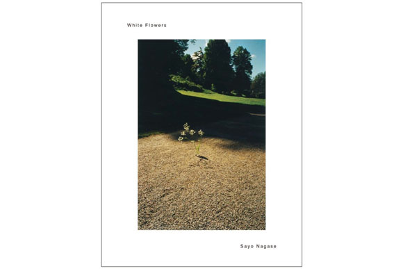wf_cover_b.jpeg
