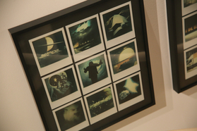 「MY NINE（私を映し出す9枚の写真）」写真展が開催中です。