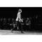 Saint Laurent | 2013 Autumn Winter | No.20