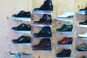 anatomica003.jpg