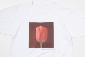 メイプルソープの静物写真の魅力を、Tシャツで堪能できます。