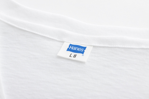 hanes32295.jpg