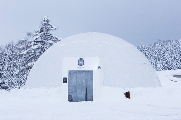 snowegg.jpg
