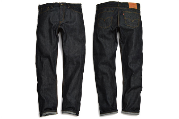 levis508_main.jpg