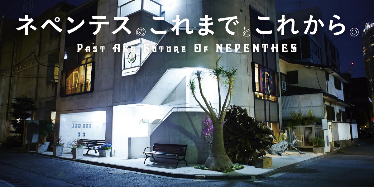 ネペンテスのこれまでとこれから。 PAST AND FUTURE OF NEPENTHES