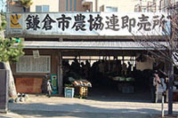 lf_kamakura_column5.jpg