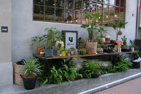 vendorが「植物」をテーマに掲げ、面白い企画をスタートです。