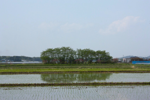 mashiko002.jpg