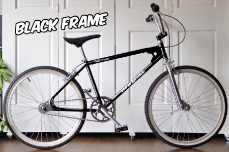 t19bike2.jpg