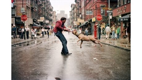 ニューヨークの写真家15人を追ったドキュメンタリー映画が公開中。