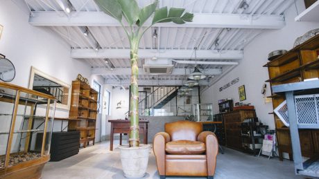 Don't miss the warm and inviting furniture. GlobeSpecs Daikan store renewed.