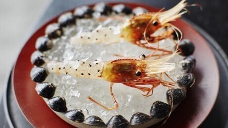 世界一のレストランたるゆえんとは？　ノーマの日本オープンを追いかけたドキュメンタリー映画。