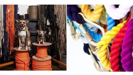 マリンロープを使った犬用のリード。ワンちゃんのクリスマスプレゼントにいかがでしょうか？