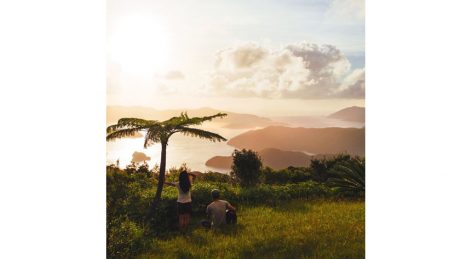 The eve event is on November 3 at VACANT. Transit, featuring "Amami and Ryukyu," is a magazine full of life.