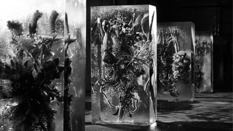 The latest issue of BOOTCAMP MAGAZINE focuses on AMKK, an experimental floral art collective .