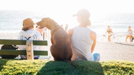 Making dogs and people more active and healthy . DOGGY BRO" opened in Chigasaki .