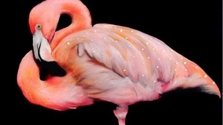 別次元のチョークアートを目の当たりにできる貴重な機会。