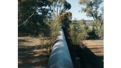 アートとドキュメンタリーの狭間を捉える写真家・石塚元太良の個展。両極端な場所で撮った美しきもの。