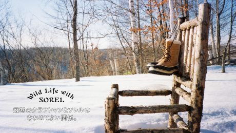 The very good relationship between the cold weather craftsman and the sorrel.