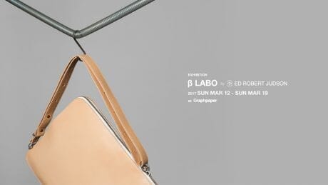 エド ロバート ジャドソン βの研究発表。グラフペーパーにて。