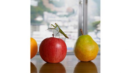 Comfortable imbalance. The photo book "NEARLY ETERNAL" is available at BOOKMARC.