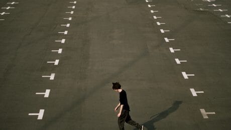 Stein's solid creations and ethereal imagination are now in their third season.