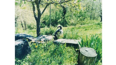 Norio Kidera's photo exhibition "INU" reminds us of the beauty of the world. Held at a furniture shop in Meguro.